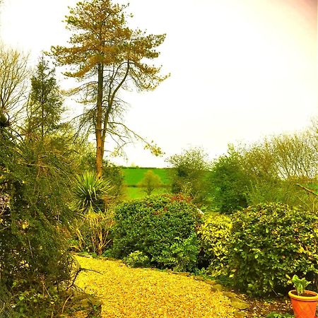 Bed and Breakfast Heddfan Llanboidy Екстер'єр фото