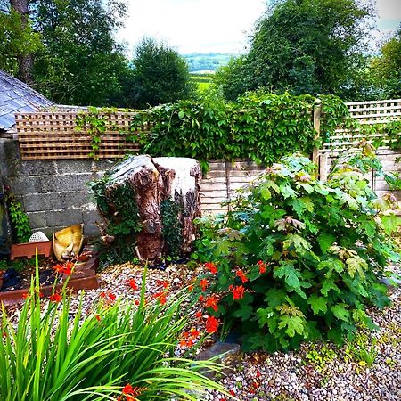 Bed and Breakfast Heddfan Llanboidy Екстер'єр фото