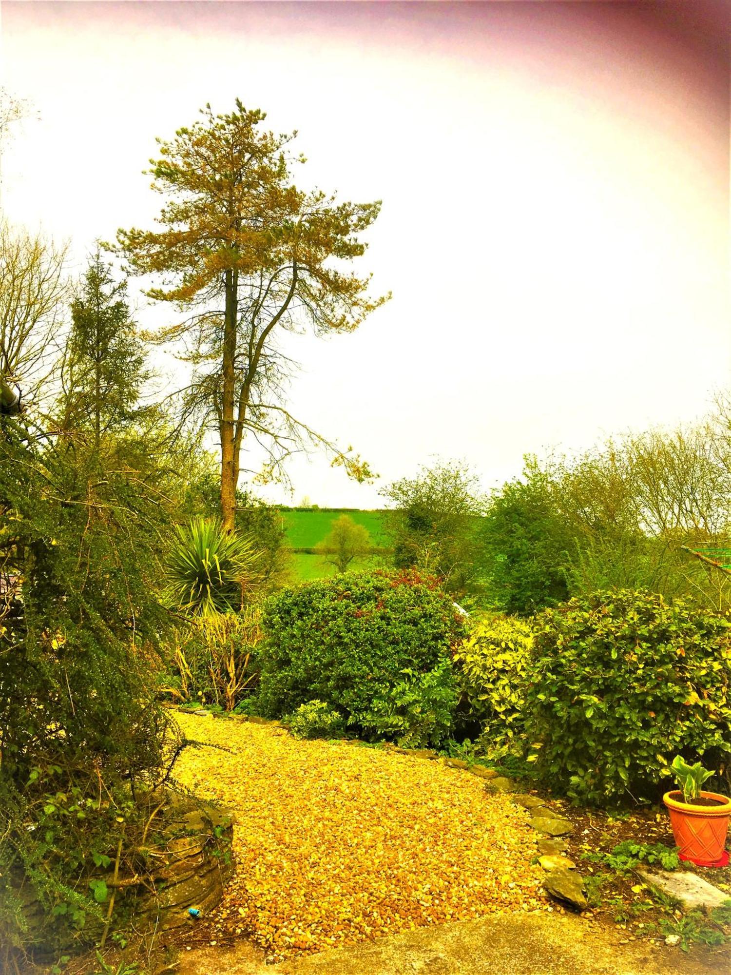 Bed and Breakfast Heddfan Llanboidy Екстер'єр фото