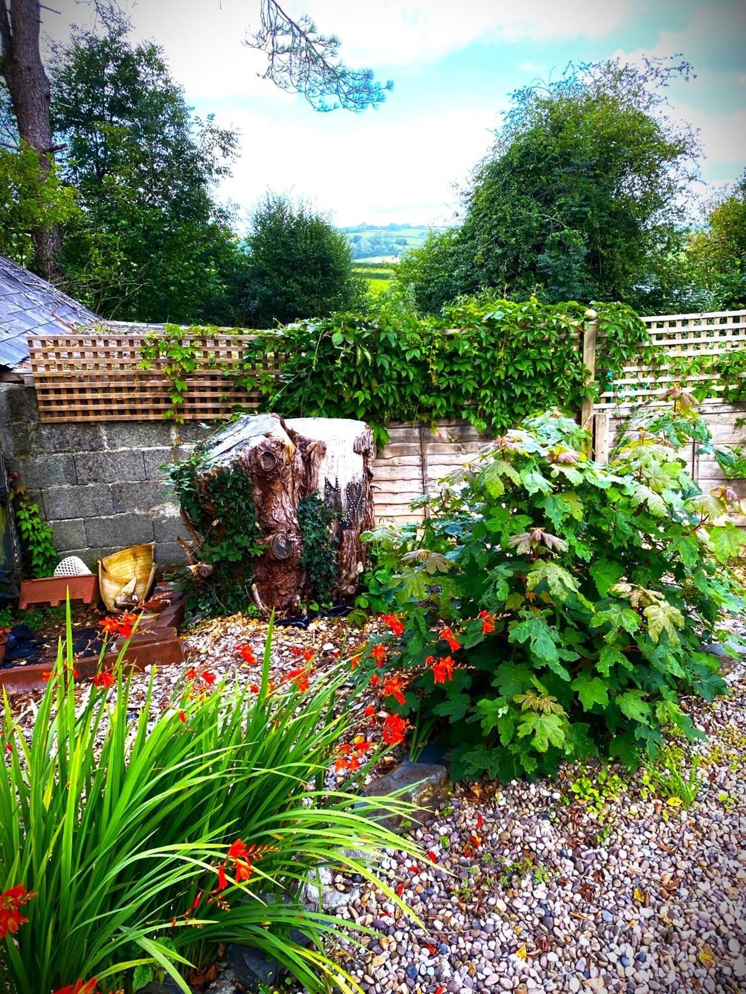 Bed and Breakfast Heddfan Llanboidy Екстер'єр фото