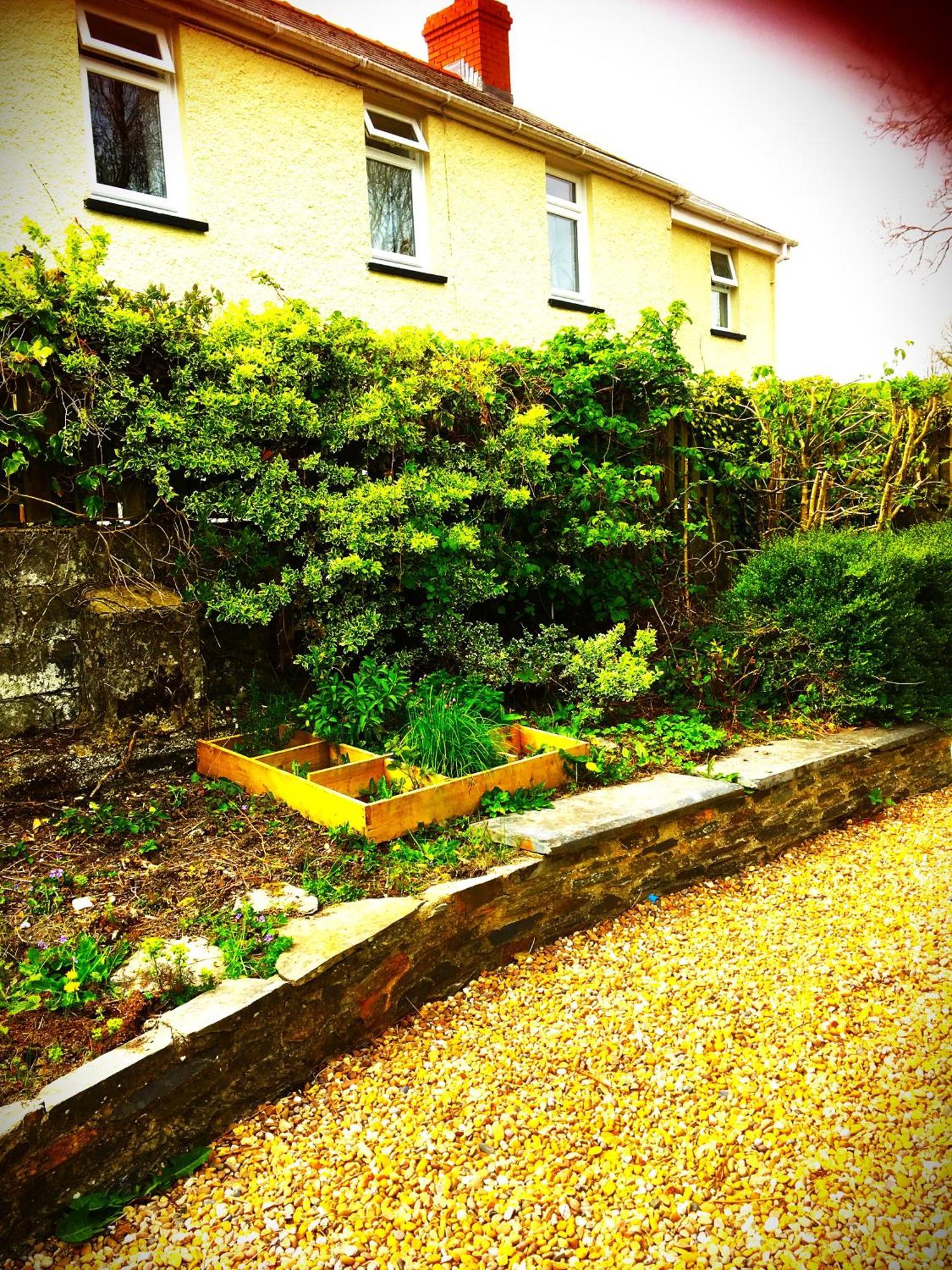 Bed and Breakfast Heddfan Llanboidy Екстер'єр фото
